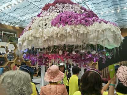 臺中市政府政風處廉政志工隊全力支援2018臺中世界花卉博覽會花舞館館內導覽